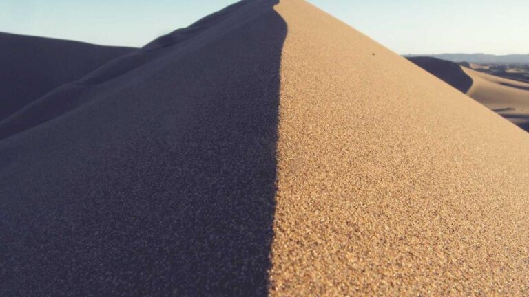 What Are The Working Hours For The 99Exch Customer Care Number?